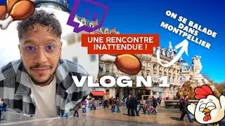 Miniature : Une rencontre INATTENDUE ! On se balade dans Montpellier #vlog 1