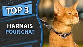 Miniature : TOP 3 : Meilleur Harnais Chat 2026