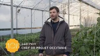 Miniature : L'alimentation dans tous ses états dans l'Hérault - Les Insatiables