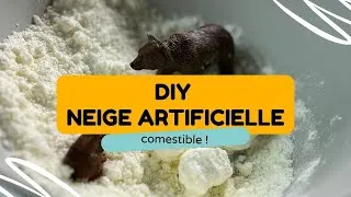Miniature : DIY neige artificielle