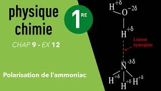 Miniature : Interros des lycées - 1ère Physique Chimie - Exercice "Polarité de l’ammoniac"