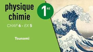 Miniature : Interros des lycées - 1ère Physique Chimie - Exercice "Tsunami"