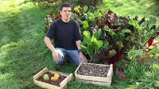 Miniature : Créer une forêt comestible