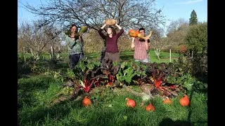 Miniature : Parrainez un arbre de la forêt comestible de Montcenis