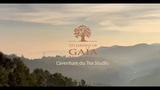 Miniature : Le projet Tea Studio 🍃