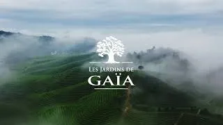 Miniature : Découvrez les Jardins de Gaïa