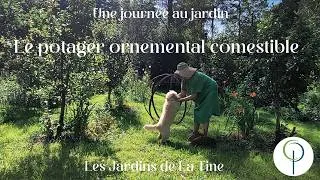 Miniature : Le potager d'aujourd'hui  - Les jardins de la Tine