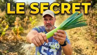 Miniature : Sauver et multiplier ses poireaux : le secret des légumes vivants #autonomie #hautsdefrance