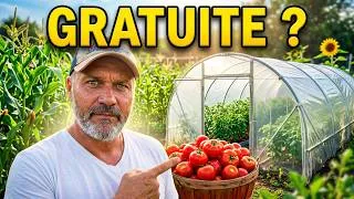 Miniature : 100kg de Tomates = Une Serre Gratuite ? (Preuve) ! #argent #hautsdefrance