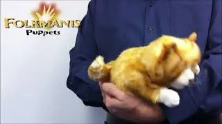Miniature : Marionnette à main Chat Tabby roux - Folkmanis - 2845 FOLKMANIS Orange Tabby Kitten
