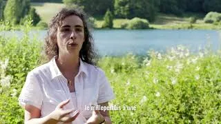 Miniature : Ma pratique de la naturopathie
