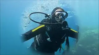 Miniature : Séjour à La Ciotat des BTS Anabiotec