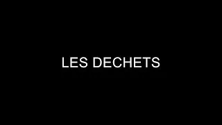 Miniature : Les Echos'Logics... les déchets