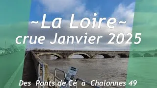 Miniature : 250112 la loire inondations debut janvier 25