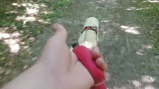 Miniature : TOUR DE L'AISNE JUIN 2022 EN VOITURE AMENAGEE AVEC MON CHIEN FALCKO partie 1