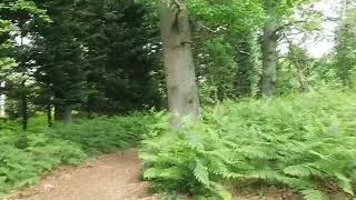 Miniature : 100. Parcours de CROSS OFFROAD en GYROROUE au Lac de Fère (Aisne)