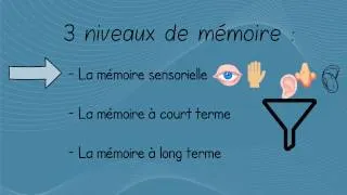 Miniature : 2 minutes pour comprendre le processus de mémorisation
