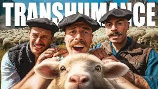 Miniature : TRANSHUMANCE des bons vivants en BIGORRE ( énorme gueuleton à l'arrivée )