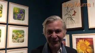 Miniature : Interview d'Antoon Krings : ses drôles de petites bêtes sont au musée des arts décoratifs