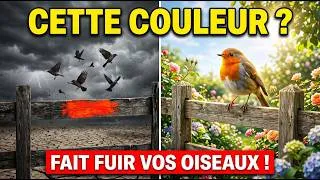 Miniature : La couleur de clôture qui fait fuir tous les oiseaux instantanément