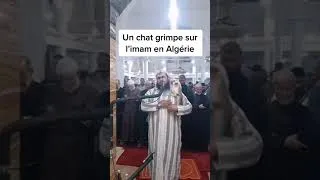 Miniature : ❤️❤️❤️ Allahou akbar