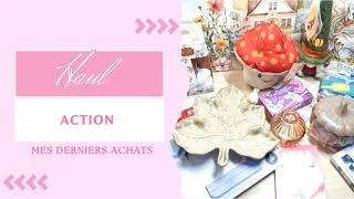 Miniature : {HAUL} Action - Je pensais juste regarder… et j'ai craqué !