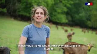 Miniature : Pastoralismes et biodiversité : une question d'équilibre