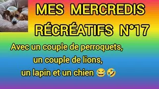 Miniature : MES MERCREDIS RÉCRÉATIFS N °17 #loisirscreatifs #plaisir #pourtoi #pourtous 