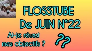 Miniature : FLOSSTUBE de JUIN N °22 #pointdecroix #diamondpainting #plaisir #pourtoi ##pourtous 