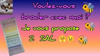 Miniature : Je vous propose 2 nouveaux SAL 🤗😉#pointdecroix #plaisir #pourtoi #pourtous 