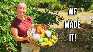 Miniature : We Didn´t Expect Summer In The South Of France To Be Like This | Self Sufficiency Journey