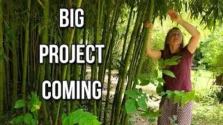 Miniature : The Garden Keeps Expanding...And So Do Our Plans | Self Sufficiency Journey In The South of France