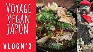 Miniature : Vlog voyage VEGAN au Japon - Des fails et de belles découvertes