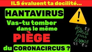 Miniature : 🚨⚠️CoronaCircus : c’était un TEST de ta docilité mais... pour te réveiller !!! #milgram #éveil