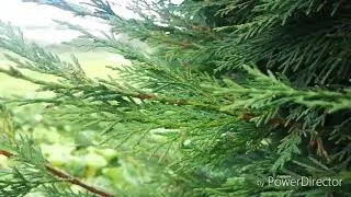 Miniature : Satisfaction - CAMPAGNE X