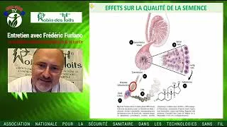 Miniature : Les Ondes et la Santé entretien avec Frédéric Furlano 3/4