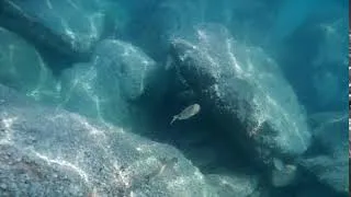 Miniature : video snorkeling crosscall