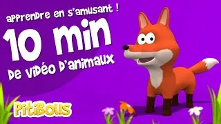 Miniature : 10 min vidéos spécial animaux - Apprendre en s'amusant - vocabulaire #enfants #savane #foret #ferme