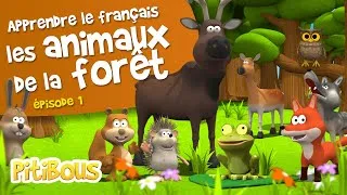 Miniature : Apprendre les Animaux de la Forêt - Apprendre le Français #Vocabulaire #enfants