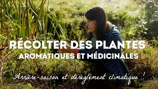 Miniature : Récolter les feuilles, fleurs et fruits d'arrière-saison