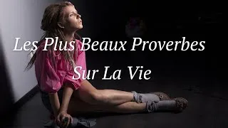 Miniature : Les Plus Beaux Proverbes Sur La Vie