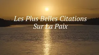 Miniature : Les Plus Belles Citations Sur La Paix #citation #paix