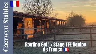 Miniature : Vlog une matinée gelé + Stage FFE l Caerwyn Stable l Version Française