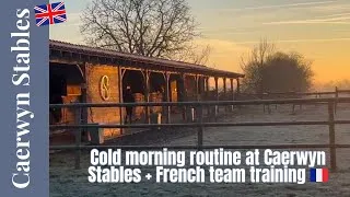 Miniature : Spend a cold morning with me ! + French federal training l Caerwyn Stables l English Version