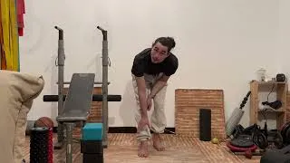 Miniature : Resserrement des métatarses
