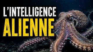Miniature : LA PIEUVRE : L'INTELLIGENCE LA PLUS ÉTRANGÈRE DE LA TERRE