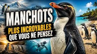 Miniature : LES MANCHOTS SONT BIEN PLUS ÉTRANGES QUE VOUS NE LE CROYEZ