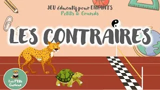 Miniature : LES CONTRAIRES 💙 Jeu éducatif Quiz pour Enfants 🎲 Maternelle 3-5 ans