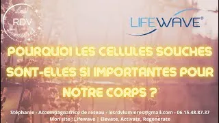 Miniature : 🏆 Pourquoi les cellules souches sont elles si importantes pour notre corps