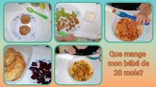 Miniature : idées repas bébé 20 mois °° what my 20 month old eat °° que come mi bebe de 20 meses °°